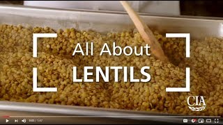 All About Lentils [upl. by Hagood]