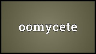 Oomycete Meaning [upl. by Nerreg]