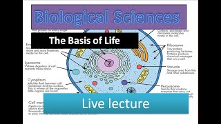 The Basis of Life  Cell Structures and FunctionsSubcellular Organelles like Nucleus Mitochondria [upl. by Suoivatram]