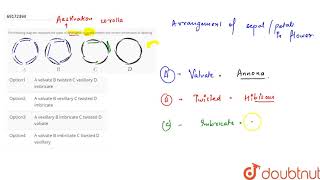 The following diagram represent the types of aestivation in corolla indetify the correct [upl. by Eilegna]