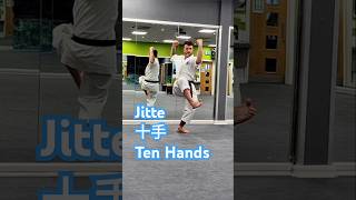 Shotokan kata Jitte 🥋⛩️ shotokan karate shotokankarate japanmartialarts karatekata blackbelt [upl. by Archibold837]