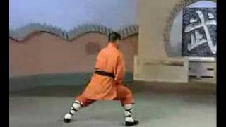 Shaolin Tai Zu Chang Quan 少林太祖長拳 Yi Lu [upl. by Angeline]