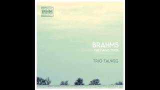 Trio Talweg  Piano Trio No 1 in B Major Op 8 I Allegro con brio [upl. by Sydel]