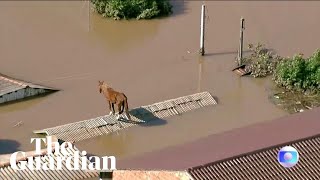 Horse stuck on roof after flooding hits southern Brazil [upl. by Morry]