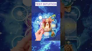 Test dintuition  Où est le cerf 💞guidance intuition eveilspirituel [upl. by Penrod]