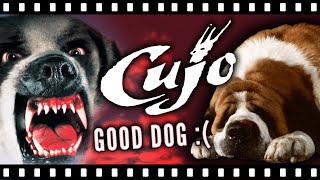 Cujo  Day 3 Of Monster Movie Creatures halloween scary movie cujo dog [upl. by Arvy]