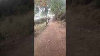 NOSY SOA PARK🙊🙈🙉 comedyvideos nosy [upl. by Fregger]