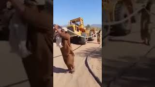 fight between two brother in saudi arabia  kash ka ao rakhka  musafar  funny video [upl. by Ettennan395]