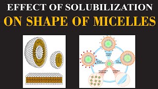 Effect of Solubilization on Shape of Micelles  Chemistry Insights By Dr Usman  ChemClarity [upl. by Eirot]