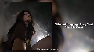 Different Language Song That Vibes So Good [upl. by Eerdua]