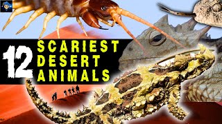 12 Creepy and Bizarre Desert Creatures That Will Haunt Your Nightmares [upl. by Inalaehak]