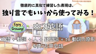 【中2英語で英会話 】Ep13 主語  動詞  人  疑問詞  to 動詞の原形を使った英会話！11ai [upl. by Torbert]