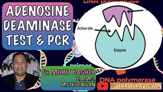 ADENOSINE DEAMINASE TEST amp PCR TEST FOR TUBERCULOSIS BY Dr Mohit Baghel [upl. by Attemaj]