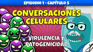 Qué Hace a Acinetobacter baumannii Tan Peligroso  Conversaciones Celulares  Ep 1 Cap 5 medicina [upl. by Ohs]