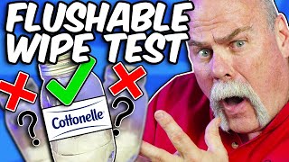 Expert Plumber Puts Cottonelle Flushable Wipes To The Test [upl. by Ahsekar616]