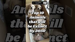 Top 10 Animals that will be Extinct by 2050 shorts [upl. by Michigan]