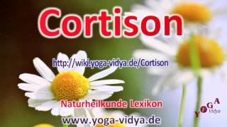 Cortison [upl. by Balcer]