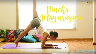 Como aprender a hacer PINCHA MAYURASANA fácil  Brenda Yoga [upl. by Enelcaj]