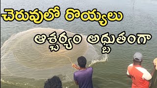 Prawns Catching techniques video [upl. by Dewitt]