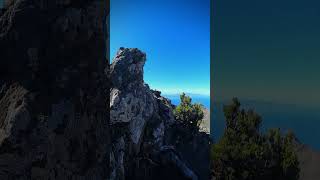 mountains teneriffe shortvideo hiking shorts climbing friluftsliv nature rocks views fun [upl. by Aisitel378]