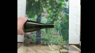 Chenin Blanc – 2022 William Chris Vineyards Hye Texas [upl. by Kosiur]