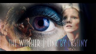 The Witcher  Link By Destiny [upl. by Neelia]