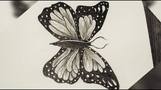 quotRealistic Butterfly Pencil Drawing for beginners StepbyStep Sketchquotpencilsketch youtubemusic [upl. by Billye]