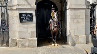 Queens Guard Horse Screaming [upl. by Ezzo]