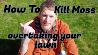 How To Kill Moss In Your Lawn [upl. by Nabetse]