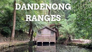 6 Best FREE things to do in the Dandenong Ranges [upl. by Okiron]