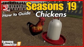 Seasons 19 How to Guide Chickens fs19 farming simulator 19 [upl. by Hourihan]