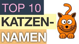 Top 10 Katzennamen [upl. by Nerrag]