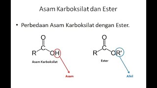 Asam Karboksilat dan Ester [upl. by Illil]