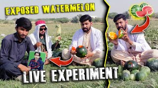 Live Eexperiment Expose Watermelon🍉  Watermelon Ko Injection💉 Lgana Ka Tariqa  Team Naveed [upl. by Greeson]