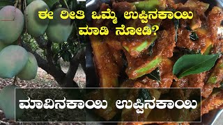 Mavinakayi uppinakayi  Adugi Vishesha Uppinkayi  Kannada  Mango pickle mango uppinakayi kannada [upl. by Ahsekad736]