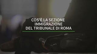 Cose la sezione immigrazione del Tribunale di Roma [upl. by Rolyab277]