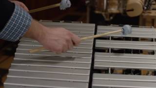 What does a vibraphone sound like Ode to Joy [upl. by Gnouh]