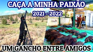 GANCHO AOS JAVALIS ENTRE AMIGOS  FRATEL  CASTELO BRANCO 20212022 [upl. by Aelanej]