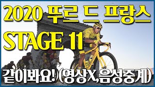 영상X 2020 뚜르 드 프랑스 스테이지 11 [upl. by Yssirhc619]