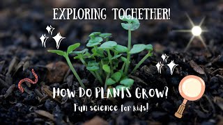 How Do Plants Grow  Fun Science for Kids [upl. by Ednil129]