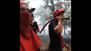 Incendie dans le Var  le travail harassant des pompiers pour éteindre le feu [upl. by Vern322]