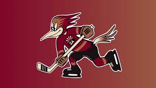 Tucson Roadrunners Custom Goal Horn [upl. by Yeniar213]