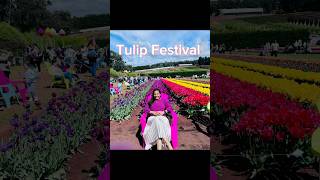 Have You Ever Seen The Stunning Tulip Festival In Australia Malayalam Vlogs [upl. by Ecissej515]