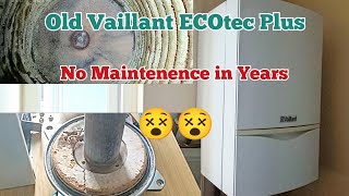 Vaillant ecotec plus Burner chamber insulation damaged😵 Detailed Repair 😌👍✅ [upl. by Pepe561]