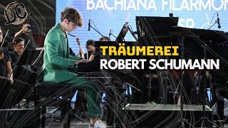 Träumerei  Robert Schumann [upl. by Enialed]