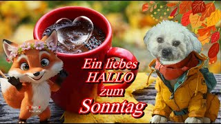 Ein liebes HALLO zum Sonntag mit herzlichen Grüße 💗 für einen schönen Tag 🌞 [upl. by Gnol]