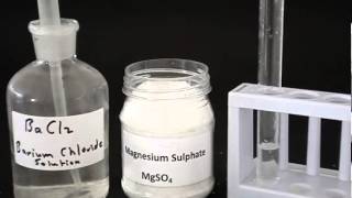 Test for a sulfate [upl. by Neened]