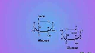 01 What is trehalose and why care [upl. by Ahtelat]