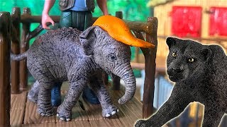 La Caccia del cucciolo di Elefante La Giungla di Kabaloo 🌴 Ep 3 [upl. by Cy]