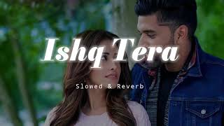 Ishq Tera Ishq Mainu  Guru Randhawa song Slowed amp Reverb lofi love lovemoment [upl. by Ronyam]